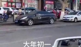 山东公务车爆料事件最新,揭开公车管理乱象的真相