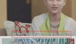 媒体爆料何超莲视频大全,盘点全网热议瞬间