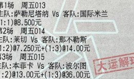 今日竞彩爆料分析,今日赛事深度解析，揭秘热门赛事投资策略