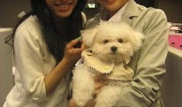 孙燕姿爆料神器视频,视频爆料引发网友热议