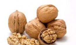 核桃印象爆料视频大全,揭秘幕后故事与精彩瞬间