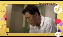 小宇家族爆料视频播放全集,揭秘家族内幕，全集内容大起底