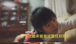 小蓝自己爆料了吗视频,独家爆料背后的真相