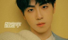 王南钧前女友爆料视频,揭秘背后惊人真相