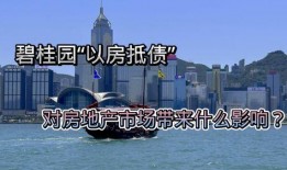 碧桂园爆料最新影响,揭秘行业变革背后的影响与挑战”