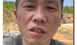 小慧事件爆料视频播放,揭秘网络爆料的真相与影响