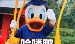 娱乐吃瓜君鸭,揭秘娱乐圈那些不为人知的幕后故事