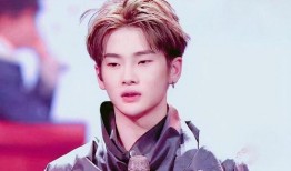 爱豆吃瓜娱乐酱周震南,爱豆吃瓜娱乐酱，揭秘娱乐圈幕后故事