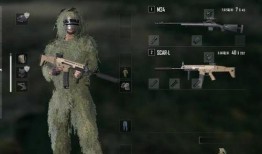 吃鸡最新枪爆料