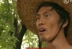 刘海柱爆料视频大全最新,揭秘娱乐圈不为人知的一面