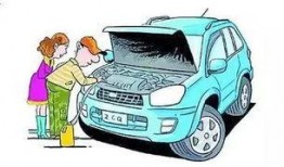 山东汽车老板爆料新闻