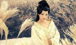 公主兴国在线观看,宫廷秘史在线观看，揭秘皇权背后的传奇人生