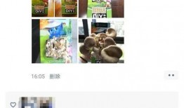 蘑菇视频爆料二维码,揭秘二维码背后的秘密！”