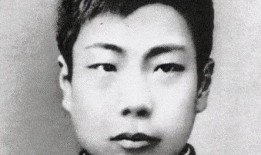 鲁迅最新爆料新闻报道视频,揭秘历史真相，视频内容引发热议