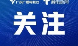 澳门新冠最新爆料信息网,疫情动态实时追踪，权威信息一网打尽”