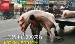 男三斤爆料大哥洗米视频,洗米哥洗米视频背后的故事