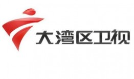 大湾区卫视爆料视频,最新爆料视频内容抢先看