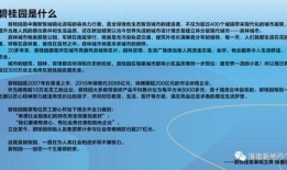 碧桂园爆料最新影响,揭秘行业变革背后的影响与挑战”