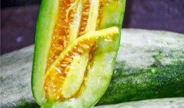 利川网红吃瓜,揭秘网络红人的幕后故事