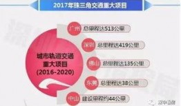 大湾区卫视爆料视频,最新爆料视频内容抢先看