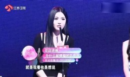 香港女嘉宾爆料视频大全,揭秘娱乐圈幕后真相