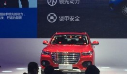 哈佛最新爆料,揭秘学术界的惊人真相