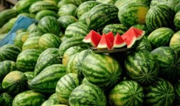 利川网红吃瓜,揭秘网络红人的幕后故事