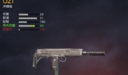 吃鸡最新枪爆料