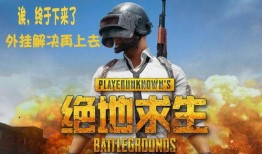 国际服吃鸡最新版本爆料,全新玩法与升级内容抢先看