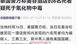 栾川美团爆料事件视频曝光,事件真相与公众关注焦点