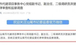 广东新闻今日爆料,揭秘重大事件背后真相