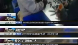 网红爆料冤案真相视频,真相背后令人震惊的真相曝光