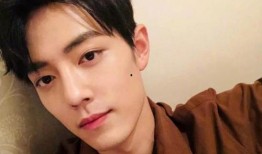 肖战感情爆料视频合集下载,揭秘明星情感世界