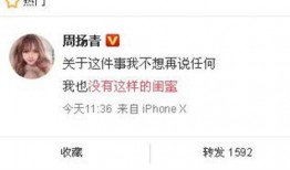 廉江今日爆料最新消息新闻,聚焦突发事件，揭秘背后真相