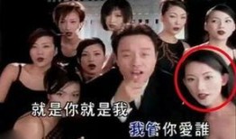 台湾组织爆料娱乐圈,娱乐圈内幕大揭秘