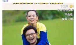 汪峰借歌爆料离婚原因视频,背后的情感纠葛与音乐的力量