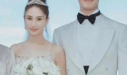 媒体爆料何超莲视频大全,盘点全网热议瞬间