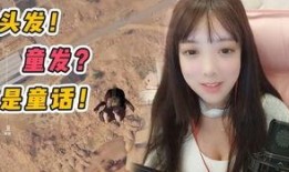 绝地求生女主播爆料视频,绝地求生幕后真相大曝光