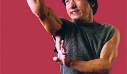 成龙最新爆料视频,最新爆料视频背后的故事与感悟