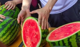 免费吃瓜 网红,网红带你领略网络狂欢盛宴