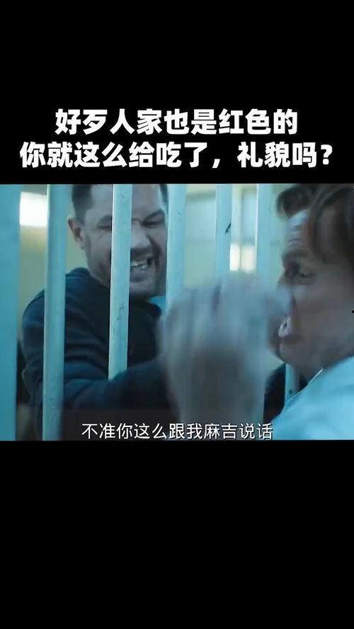 娱乐吃瓜酱推荐电影,盘点年度必看电影，解锁光影盛宴