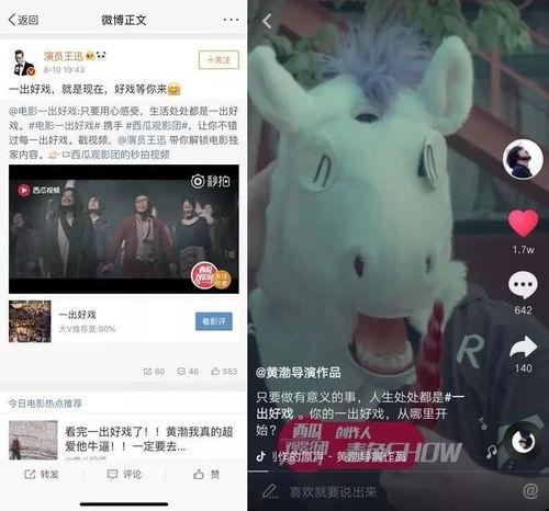 娱乐吃瓜视频剪映素材