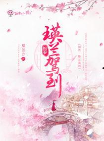 全娱乐圈跟我吃瓜的小说