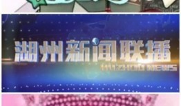 湖州电视台新闻爆料,重大新闻事件背后真相揭晓