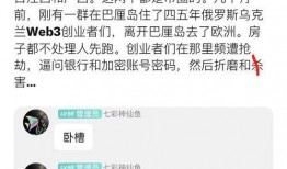 巴厘岛命案微博爆料视频,惊心动魄的真相披露