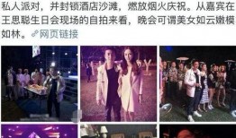王思聪爆料天王嫂视频,娱乐圈风波再起