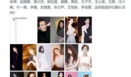 大姐爆料董哲哲视频全集,全集内容大揭秘