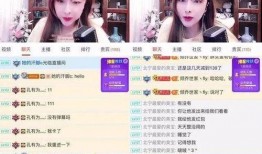 缅甸爆料主播视频,爆料主播视频背后的真相与争议