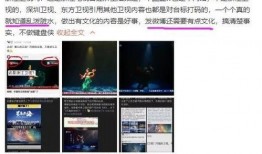 网友爆料浙江卫视视频,网友爆料背后真相揭秘